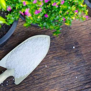 Добрива для рослин