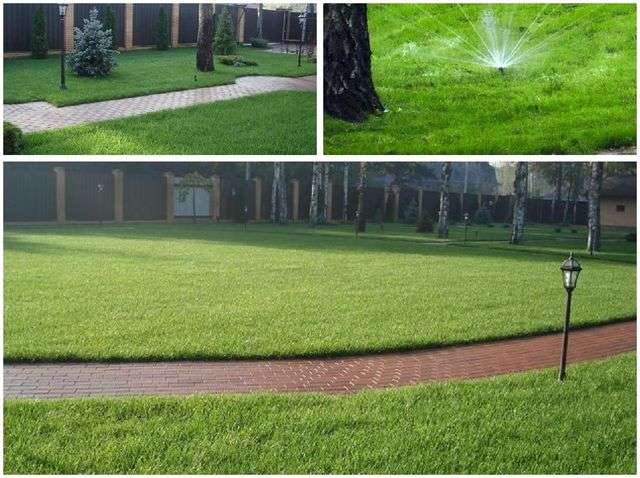 садові стежини