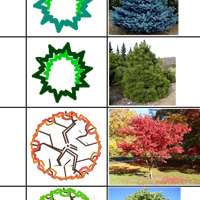 Відомість зелених насаджень