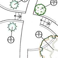 Дендроплан