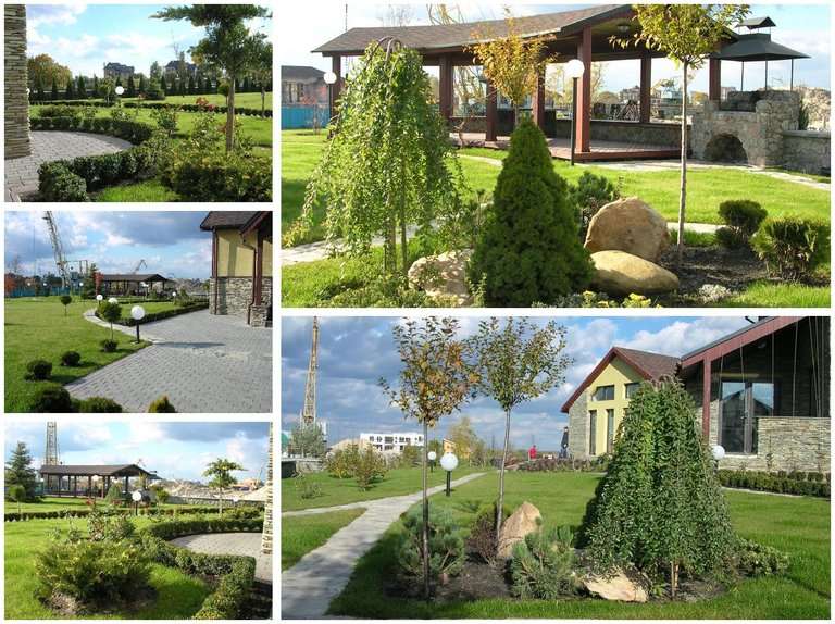 Газон на піщаному ґрунті